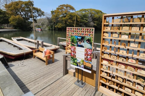 柳川の川下りの乗船場。岸にどんこ舟が並び、掘割を舟が進む
